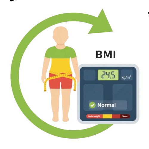 bmi Icon